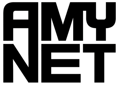 AMYNETWORK TECHNOLOGY COLTD