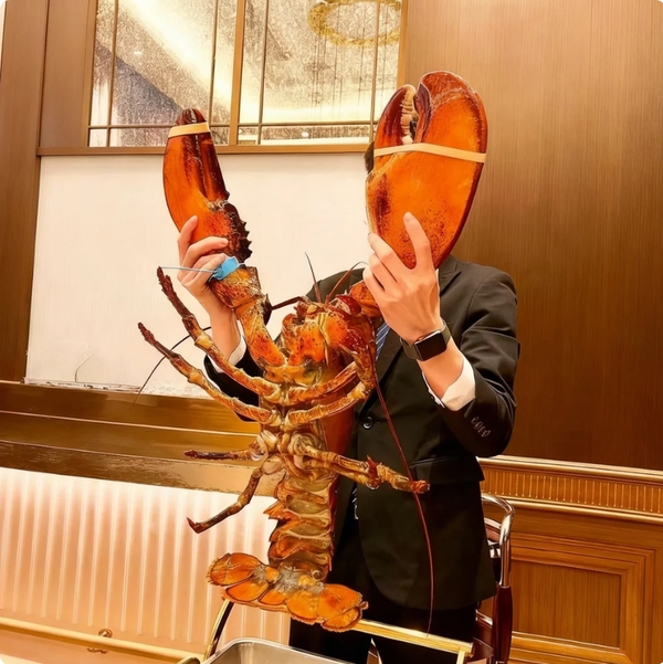 Live Boston Lobster: The Atlantic's Finest